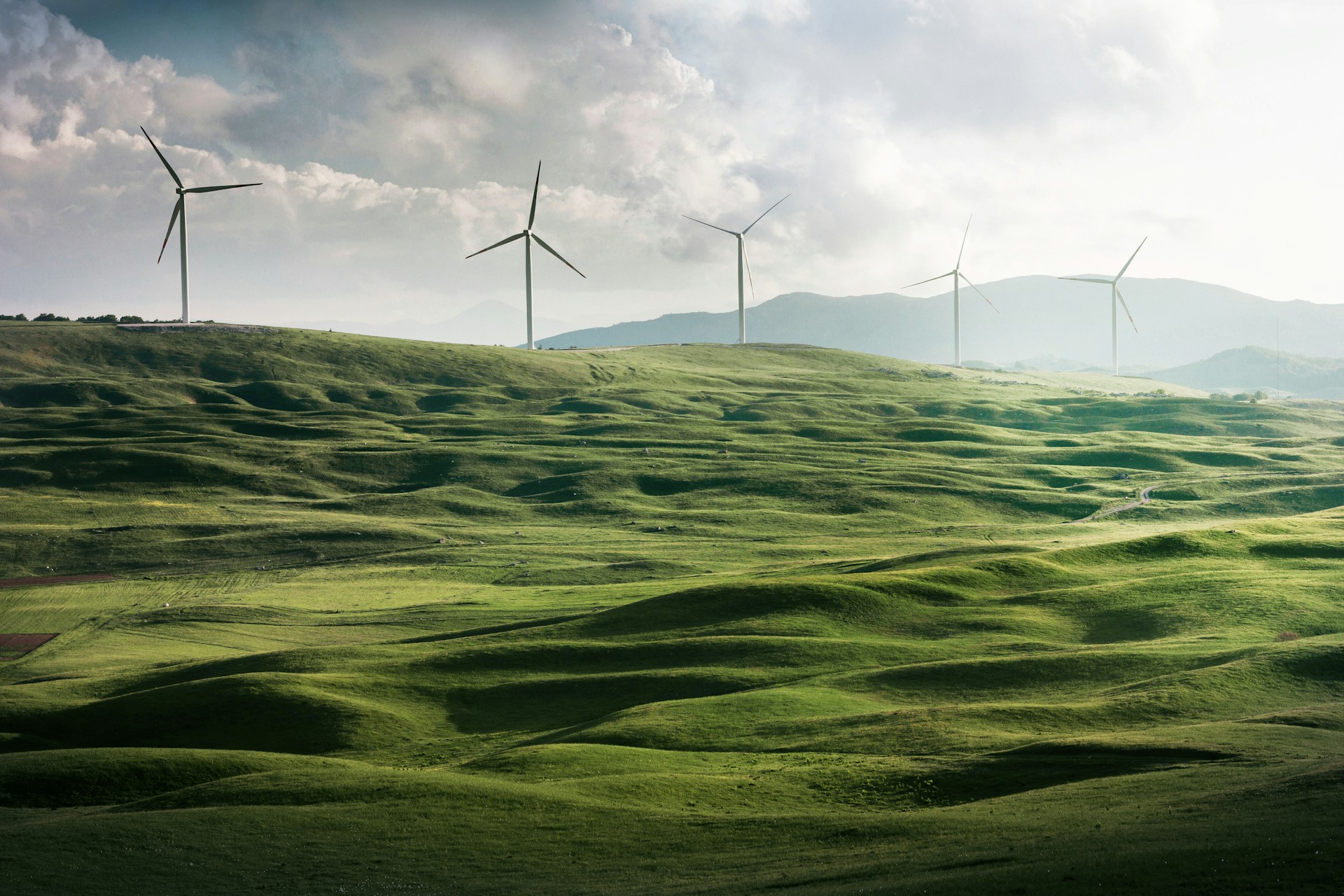 vindmøller grøn energi
