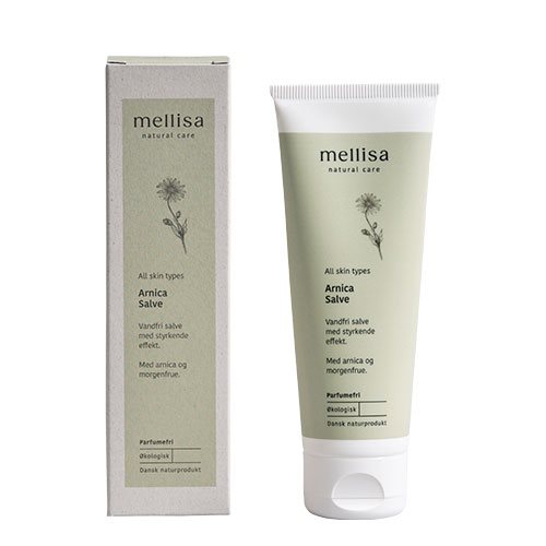 Arnica Salve 1 Arnica Salve