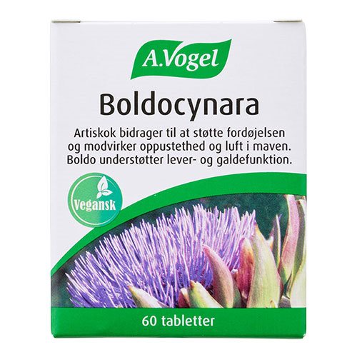 Boldocynara 1 Boldocynara