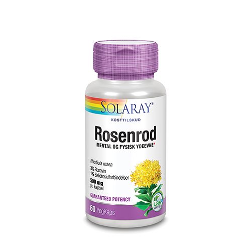 Rosenrod GP Ekstrakt 500 mg 1 Rosenrod GP Ekstrakt 500 mg
