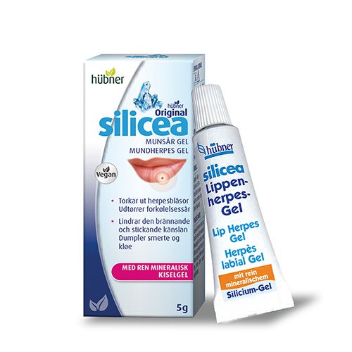 Silicea Mund Herpes 1 Silicea Mund Herpes