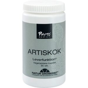 Artiskok
