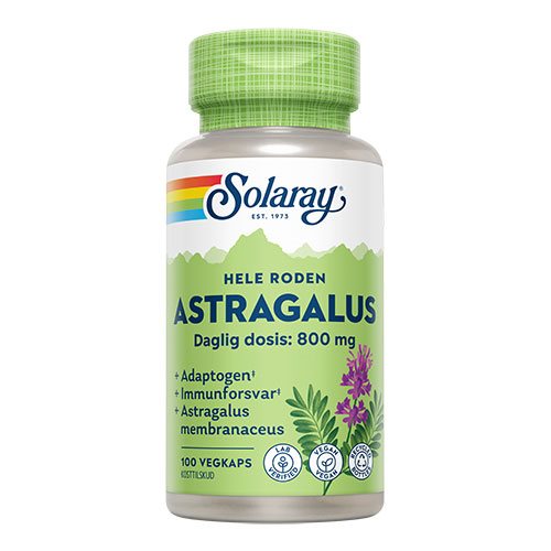Astragalus 1 Astragalus