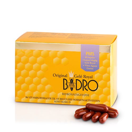 Bidro PMS 1 Bidro PMS