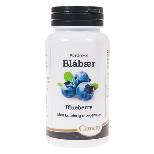 Blåbær 1 Blåbær