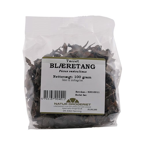 Blæretang (2) tørret 1 Blæretang (2) tørret