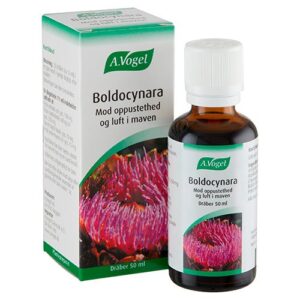 Boldocynara