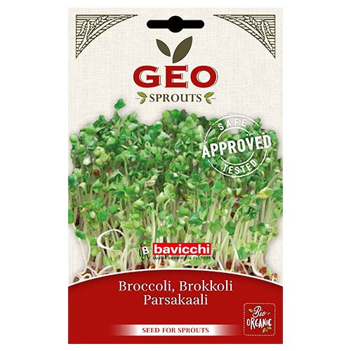 Broccolifrø til spiring Ø 1 Broccolifrø til spiring Ø