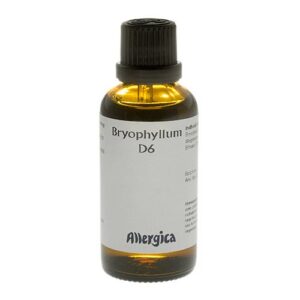 Bryophyllum D6