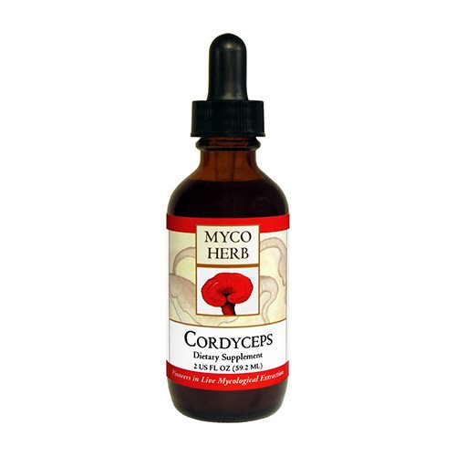 Cordyceps 1 Cordyceps