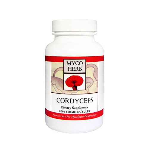 Cordyceps 1 Cordyceps