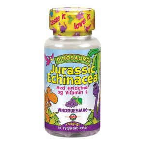 DinoSaurs Echinacea tygge børn
