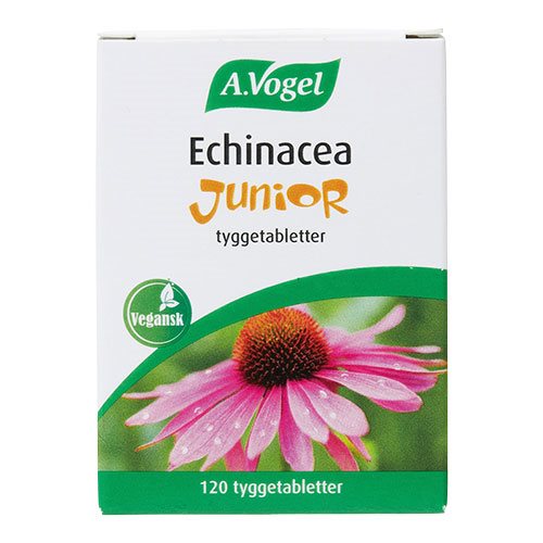 Echinacea Junior 1 Echinacea Junior