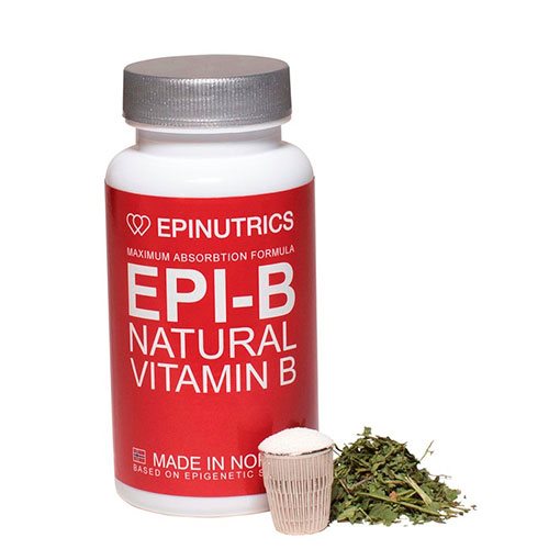 EPI-B 1 EPI-B