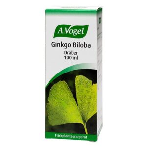 Ginkgo Biloba