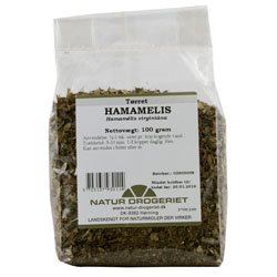 Hamamelis