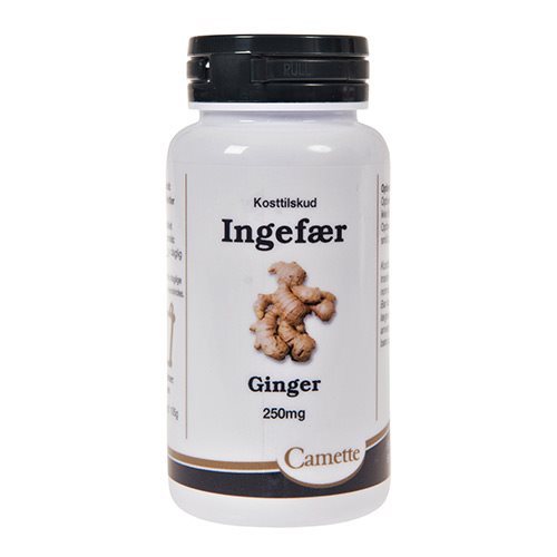 Ingefær 1 Ingefær