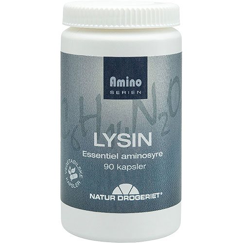 Lysin 1 Lysin