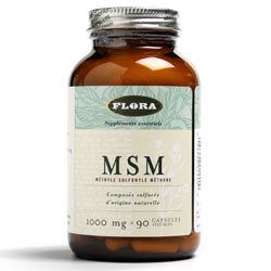 MSM lignisul tm 1000mg til
