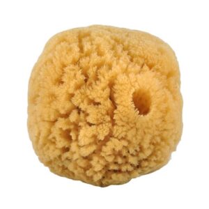 Natursvamp 10-12 cm fra