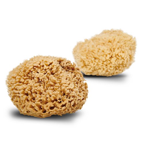 Natursvamp Honey Wool 13-14 cm 1 Natursvamp Honey Wool 13-14 cm