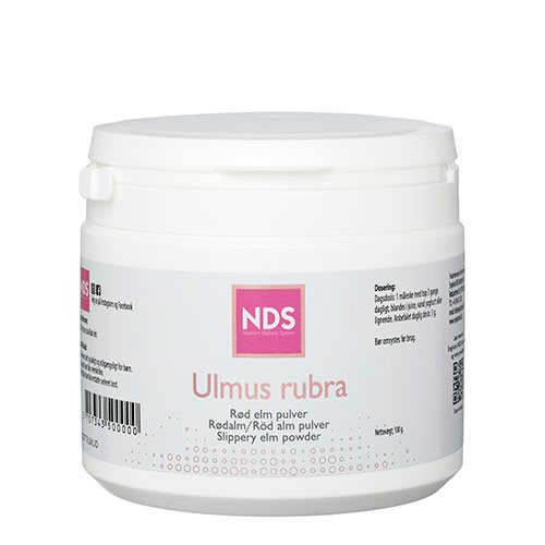 NDS Ulmus rubra 1 NDS Ulmus rubra
