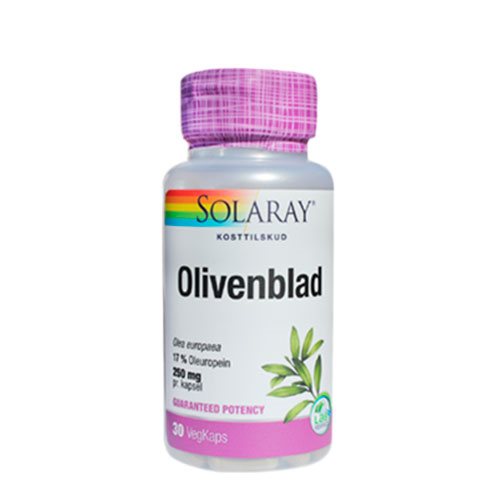Olivenblad 1 Olivenblad