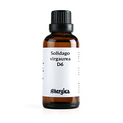 Solidago D6