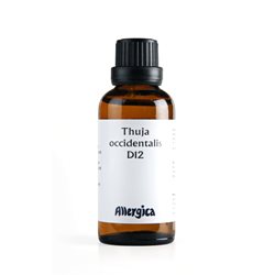 Thuja D12