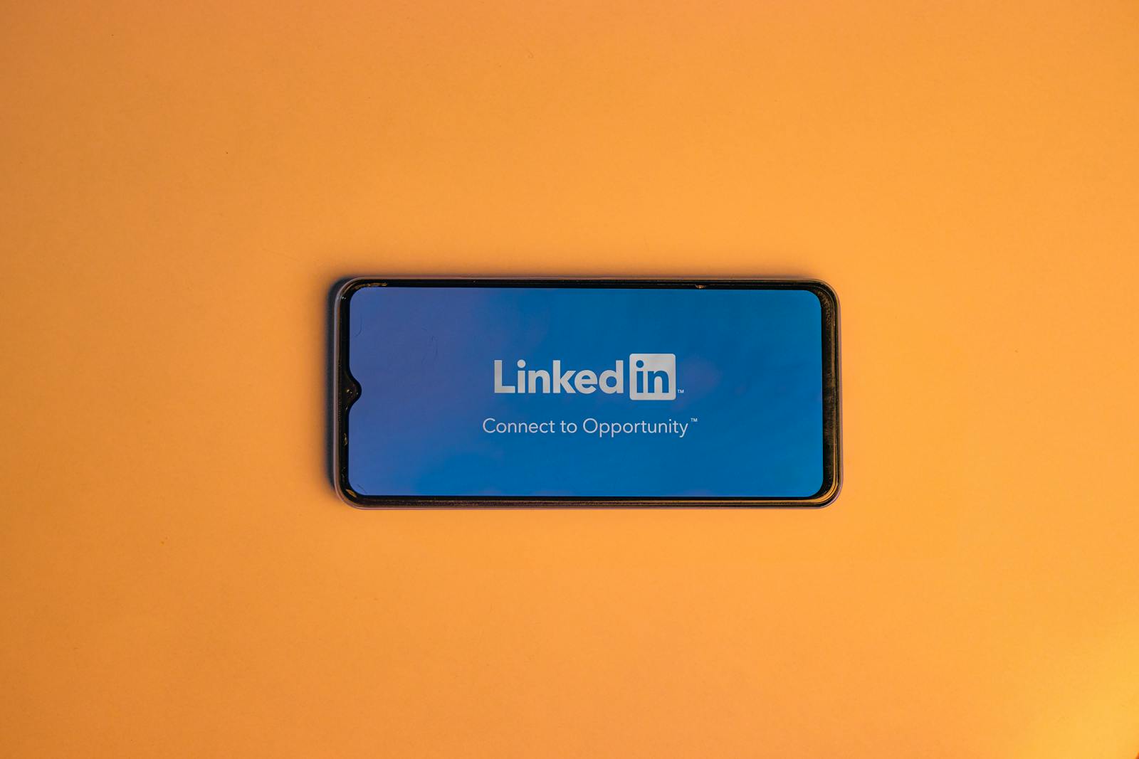 LinkedIn-Profil