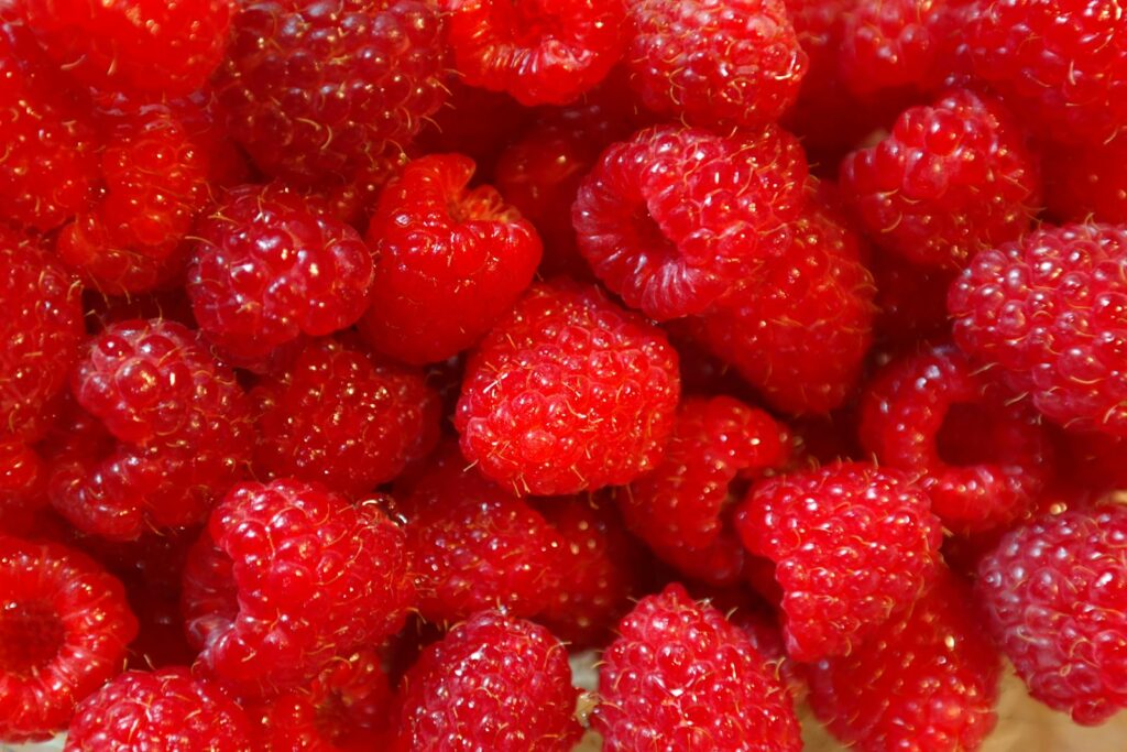 Marmelade Missionen - Find din #1 favorit 4 hindbær