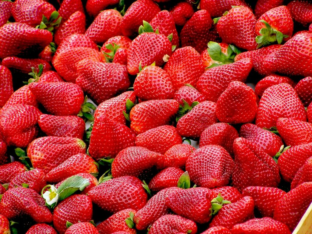 Marmelade Missionen - Find din #1 favorit 2 Jordbær