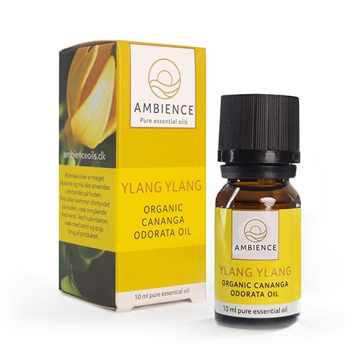 Ambience Ylang ylang olie, øko 1 Ambience Ylang ylang olie, øko