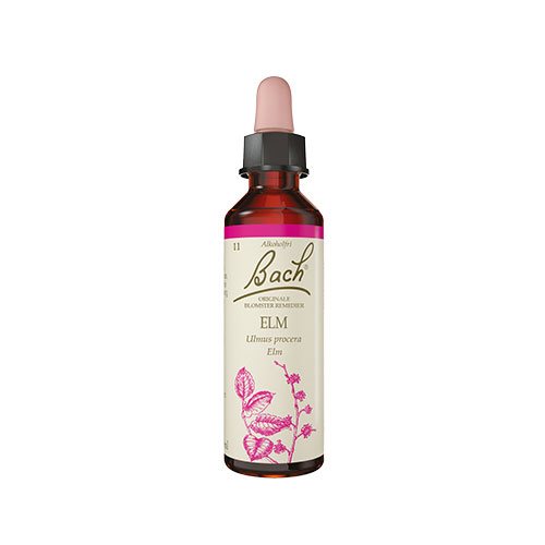 Bach Elm 1 Bach Elm