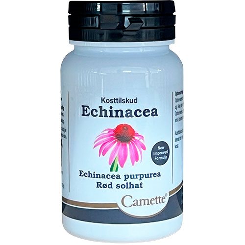 Echinacea 1 Echinacea