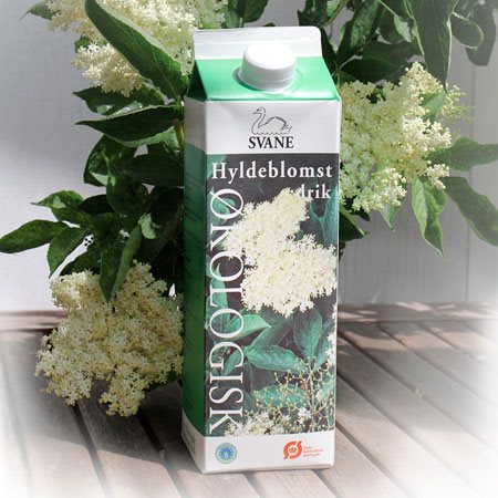 Hyldeblomstdrik Ø 1 Hyldeblomstdrik Ø