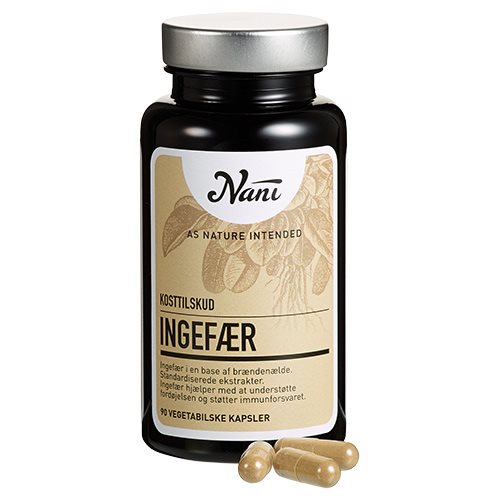 Ingefær Nani 1 Ingefær Nani