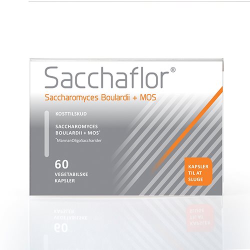 Sacchaflor 1 Sacchaflor