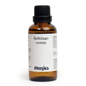 Solidago comp.