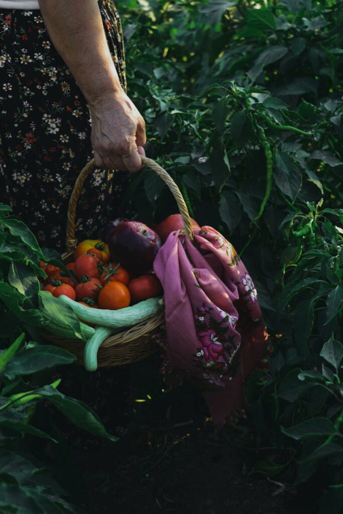 Hvad er sundt at drikke? 11 A woman holding a basket of vegetables in the middle of a field