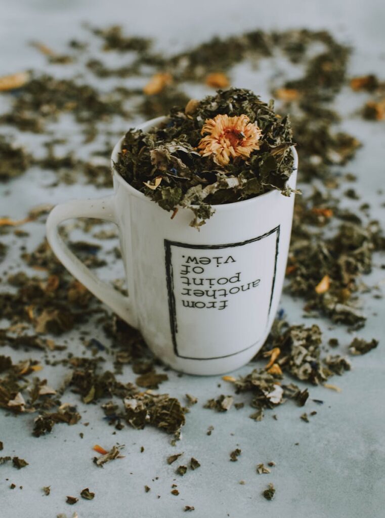 Hvad er sundt at drikke? 5 White and Brown Ceramic Mug