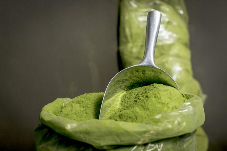 Moringa Pulver