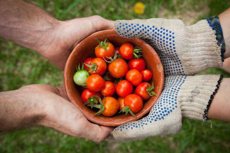 Community Gardening